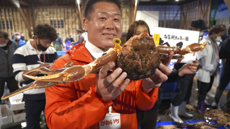 Japanese Snow Crab Fetches Auction Price Of 800,000 Yen